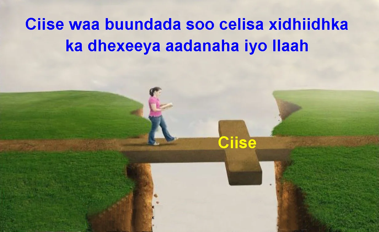 Ciise waa buundada soo celisa